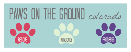 Paws on the Ground Colorado
